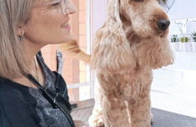 whatsapp image 2024 07 16 at 125717 1