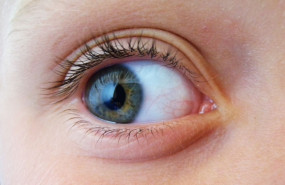 1619188612 eye 50346431280