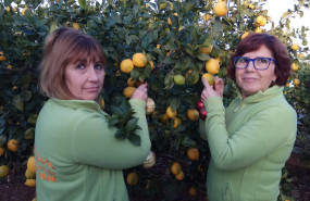 1646233981 whatsapp image 2022 02 16 at 42022 pm 20220302180829 