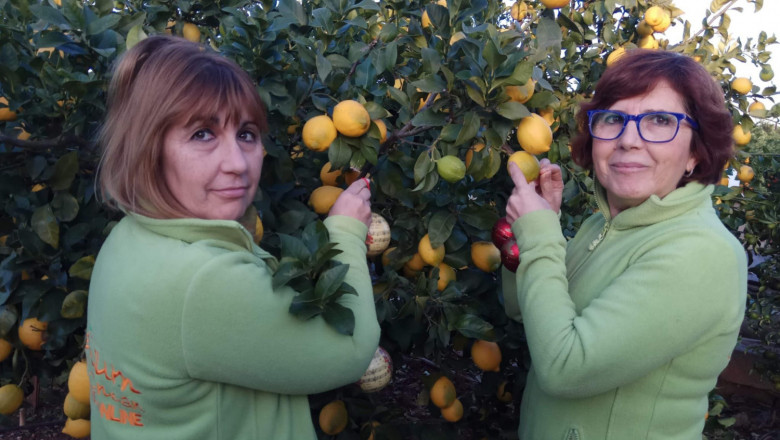 1646233981 whatsapp image 2022 02 16 at 42022 pm 20220302180829 