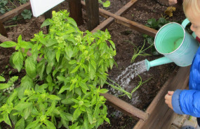 1647939996 cavall de cartr escola verda 1 20220322123229 