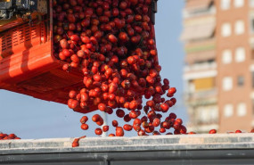 ep archivo   cientos de tomates son cargados en camiones
