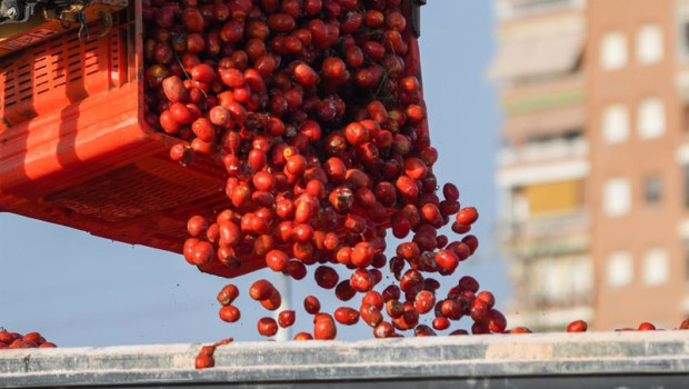 ep archivo   cientos de tomates son cargados en camiones