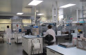 ep archivo   laboratorio de reig jofre