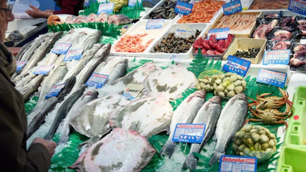 ep archivo   mostrador de una pescaderia