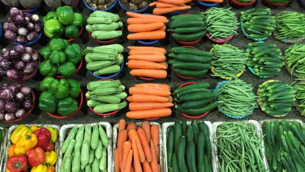 ep archivo - verduras y hortalizas de huerta
