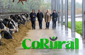 ep clun y leite celta crean corural una nueva empresa con 1400 productores y 800 empleados ep clun y leite celta crean corural una nueva empresa con 1400 productores y 800 empleados