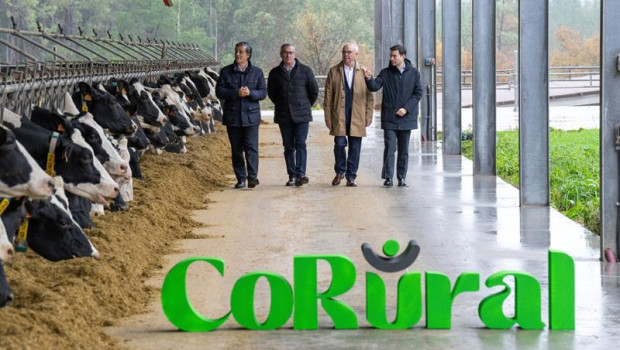 ep clun y leite celta crean corural una nueva empresa con 1400 productores y 800 empleados ep clun y leite celta crean corural una nueva empresa con 1400 productores y 800 empleados