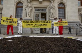ep greenpeace pidegobiernovotefavorprohibir neonicotinoides