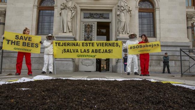 ep greenpeace pidegobiernovotefavorprohibir neonicotinoides