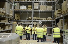 ep ikea programa refugiados