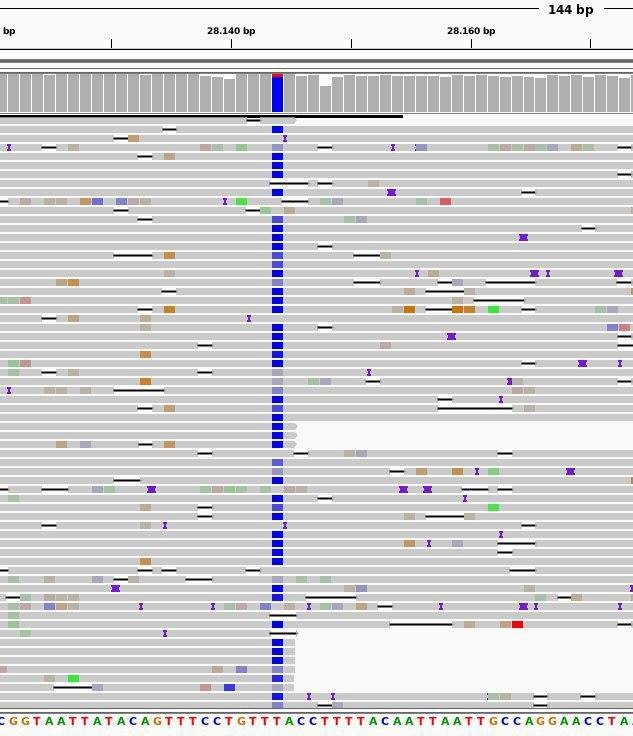 ep imagen de un fragmento de las secuencias del virus sars-cov-2 analizado en azul se observa una