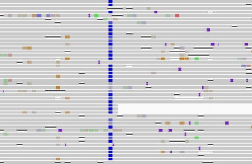 ep imagen de un fragmento de las secuencias del virus sars-cov-2 analizado en azul se observa una