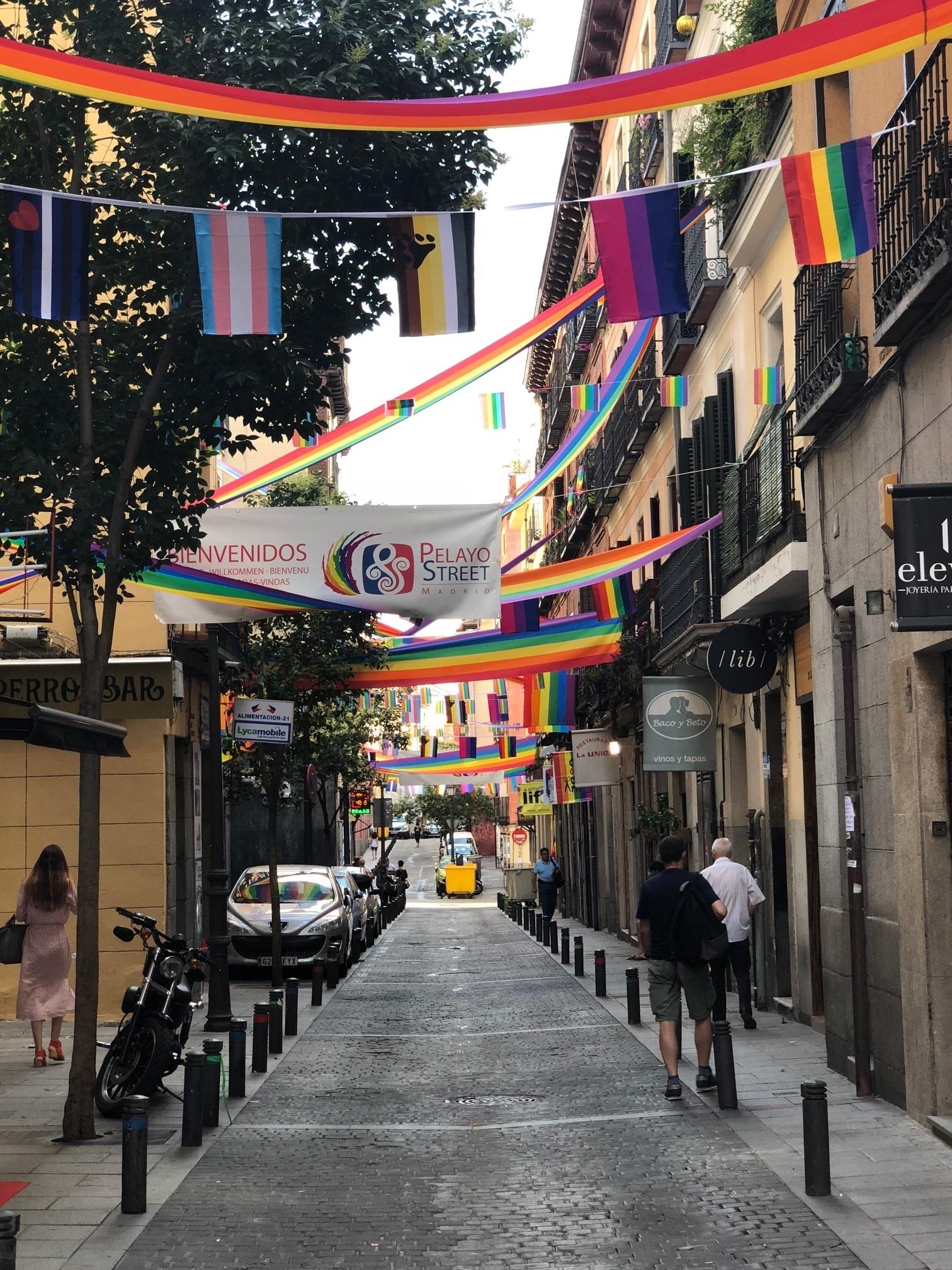 La bandera arcoiris en la celebración del Orgullo Gay en Madrid | MARTA FERNÁNDEZ/EUROPA PRESS ep la bandera arcoirisla celebracionorgullo gaymadrid