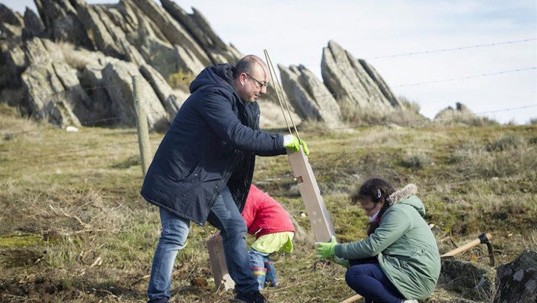 Montemadrid completa la primera fase de 'ReforestaAcción' por el que se han plantado 1.350 árboles en la Sierra Norte | MONTEMADRID - Archivo ep montemadrid completa la primera fase de reforestaaccion por el que se han plantado 1350 arboles