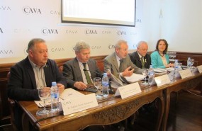 ep presentacionlos resultados2017consejo reguladorcava