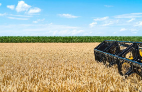 ep union de uniones estima perdidas en cereales del 30 en las zonas productoras por las olas de