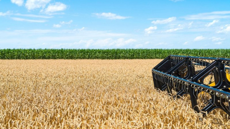 Unión de Uniones estima pérdidas en cereales del 30% en las zonas productoras por las olas de calor. | UNIÓN DE UNIONES ep union de uniones estima perdidas en cereales del 30 en las zonas productoras por las olas de