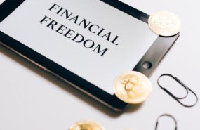 pexels pexels photo 8919505