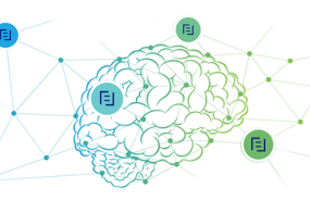 1594118772 neo de lefebvre