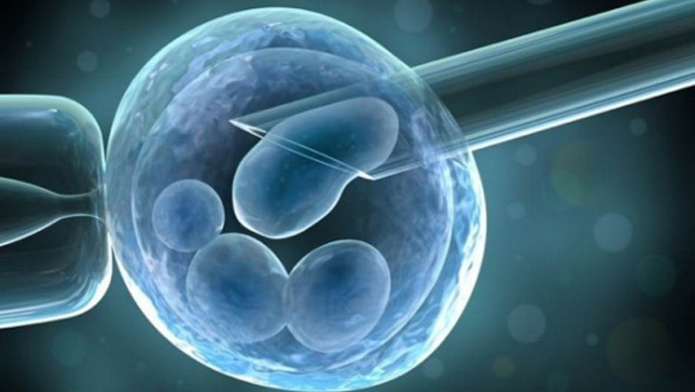 1641819151 transferencia de embriones en estado de blastocisto