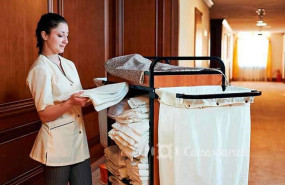 ep archivo   camarera de pisos