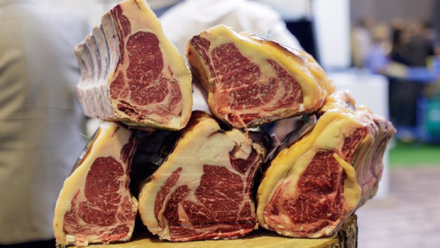 ep archivo   comida comer chuleta chuletas chuleton