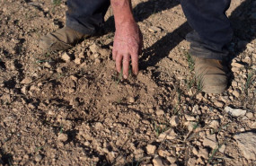 ep archivo   un agricultor muestra la tierra seca