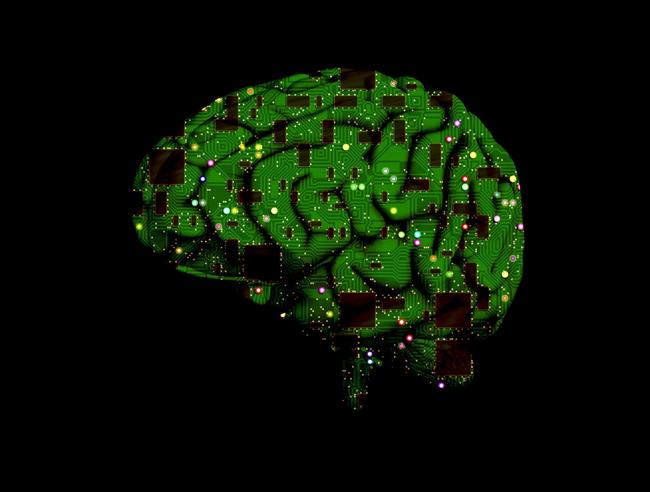 ep cerebro chip informatico