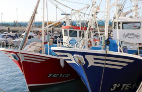 ep comienza la campana de pesca de atun rojo para 249 embarcaciones en las islas