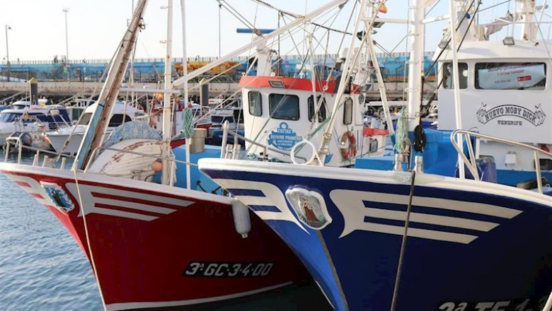 ep comienza la campana de pesca de atun rojo para 249 embarcaciones en las islas ep comienza la campana de pesca de atun rojo para 249 embarcaciones en las islas