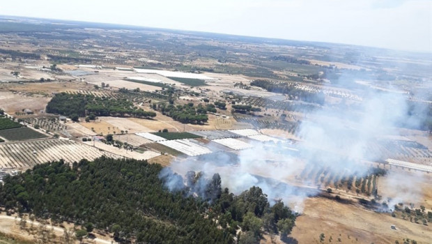 ep incendio forestal declaradoalmonte
