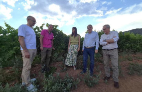 ep la conselleira do medio rural maria jose gomez durante una visita a bodegas ladario ep la conselleira do medio rural maria jose gomez durante una visita a bodegas ladario