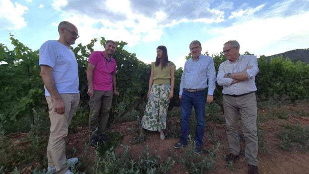 ep la conselleira do medio rural maria jose gomez durante una visita a bodegas ladario