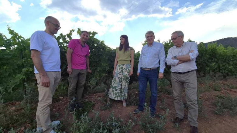 ep la conselleira do medio rural maria jose gomez durante una visita a bodegas ladario
