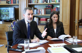 ep los reyes con el voluntariado en una videoconferencia con los responsables de la plataforma de