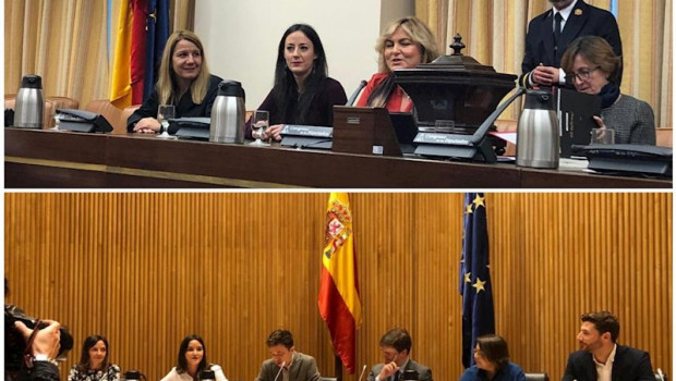 ep mesas de las comisiones del congreso para el seguimiento del pacto contra la vioilencia machista