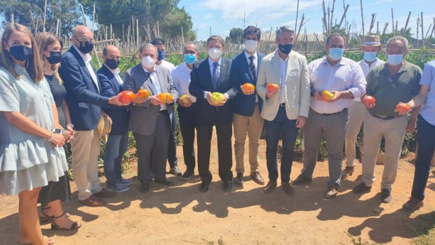 ep planas visita una explotacion de una variedad de tomate autoctono del valle del guadalhorce