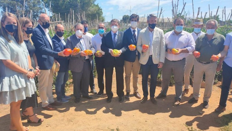 Planas visita una explotación de una variedad de tomate autóctono del Valle del Guadalhorce | SUBDELEGACIÓN ep planas visita una explotacion de una variedad de tomate autoctono del valle del guadalhorce