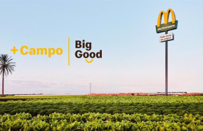 ep proyecto campo de mcdonalds