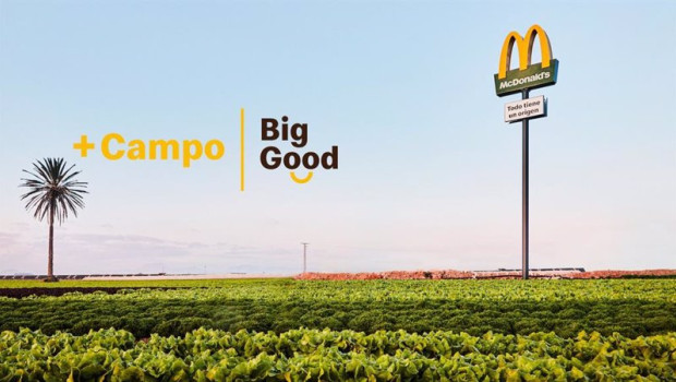 ep proyecto campo de mcdonalds