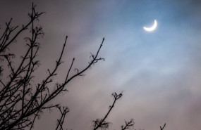 ep red electrica garantiza la seguridad de suministro y la operacion del sistema de cara al eclipse
