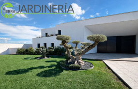 la tierra jardineria mantenimiento