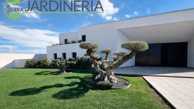 la tierra jardineria mantenimiento