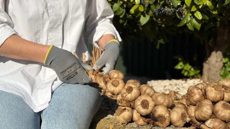 trenza de ajos negros la abuela carmen 20251121154851 