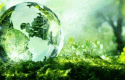 energiaverdecb11 energiaverdecb11