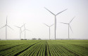 ep archivo   molinos de energia eolica 20250211120104
