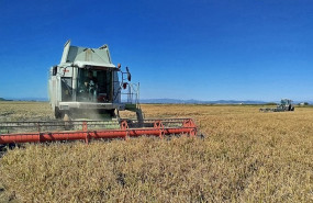 ep archivo   siega de arroz en la albufera