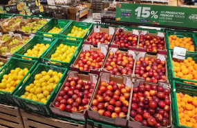 ep carrefour distribuye mas de 1400 toneladas de ciruela de origen espanol y preve superar la cifra ep carrefour distribuye mas de 1400 toneladas de ciruela de origen espanol y preve superar la cifra