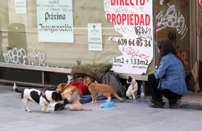 ep coronavirus- ong ven necesario el escudo social del gobierno para proteger a las personas sin